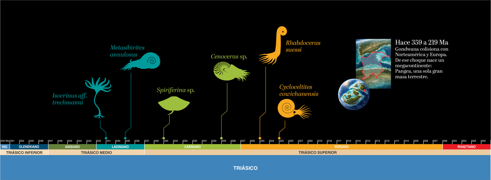 Línea del tiempo — Triásico