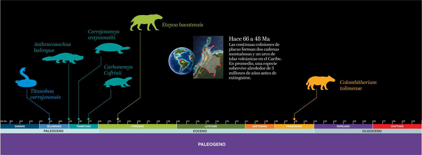 Línea del tiempo — Paleógeno