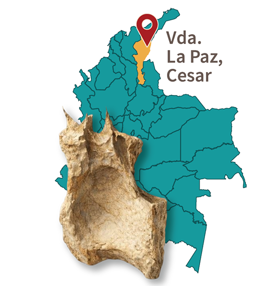 Localización del hallazgo fósil de Equus neogeus